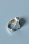 sagitta_ring3